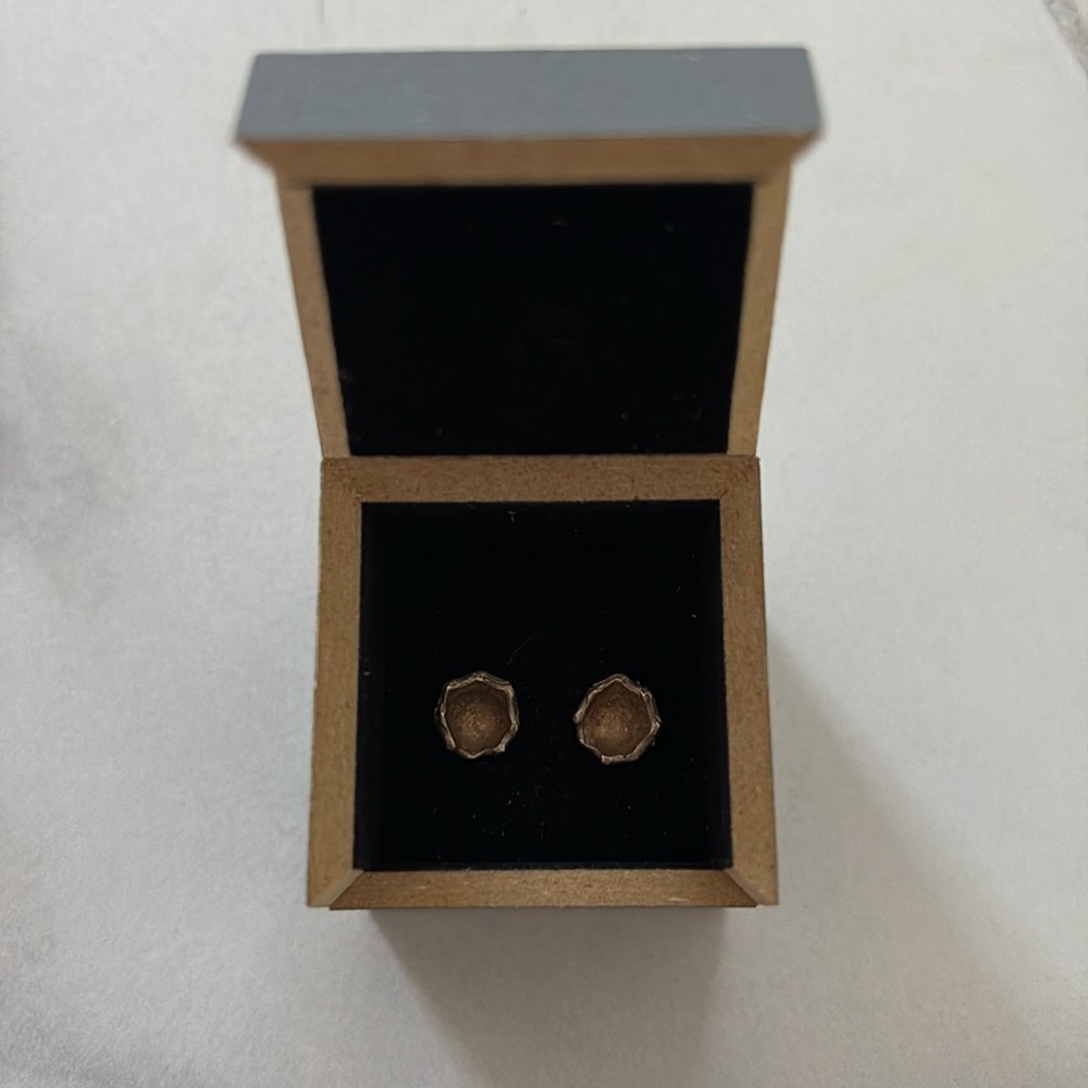 Modern earrings